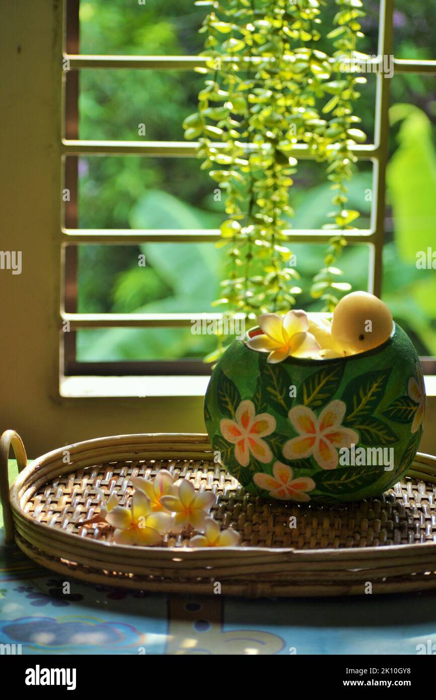 Plumeria flower photography Stock Photo Alamy