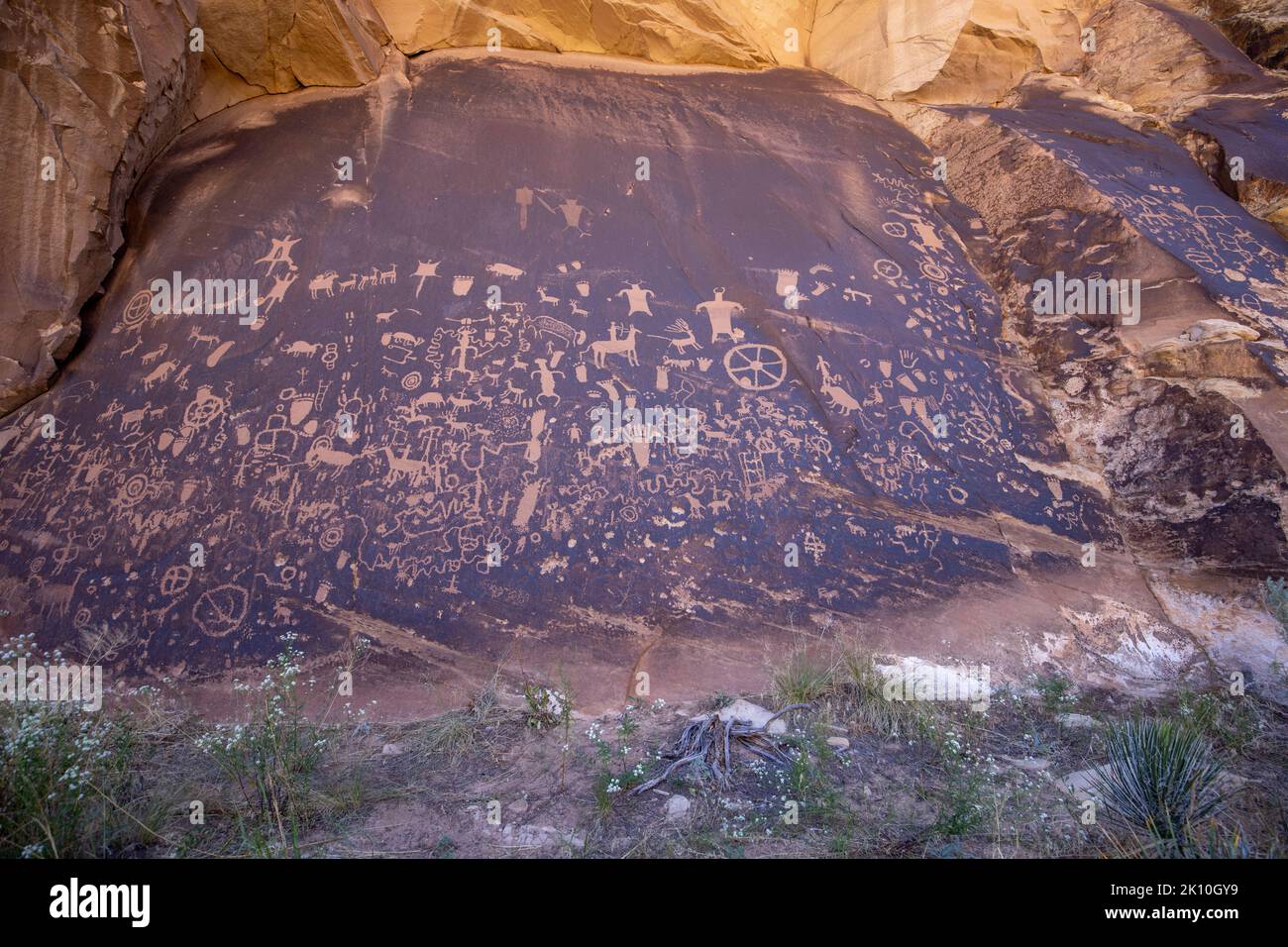 Petroglyphs  Newspaper Rock in San Juan County, Utah, is covered with hundreds of petroglyphs. Stock Photo