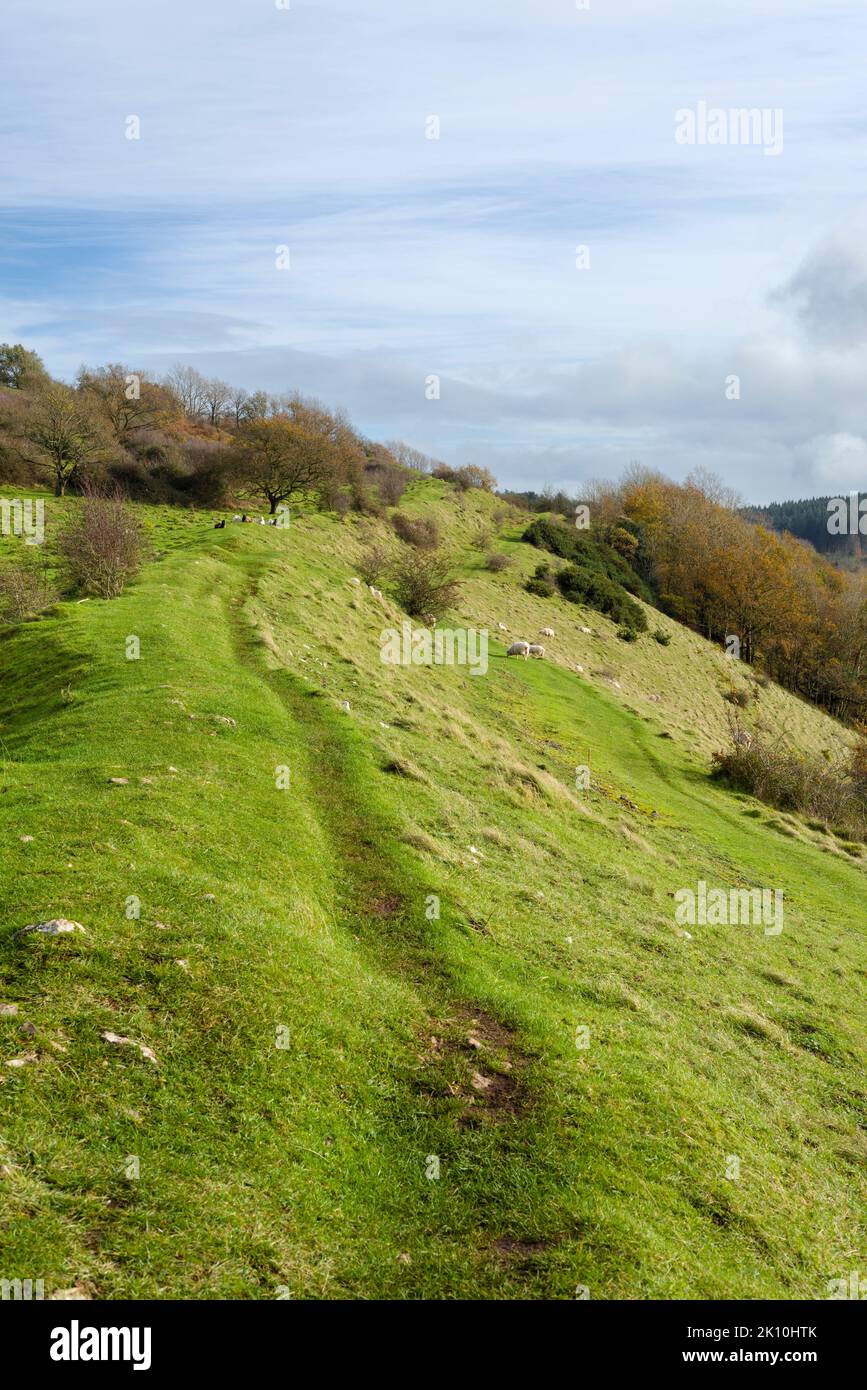 The defensive ramparts of the hill fort at Dolebury Warren in the ...