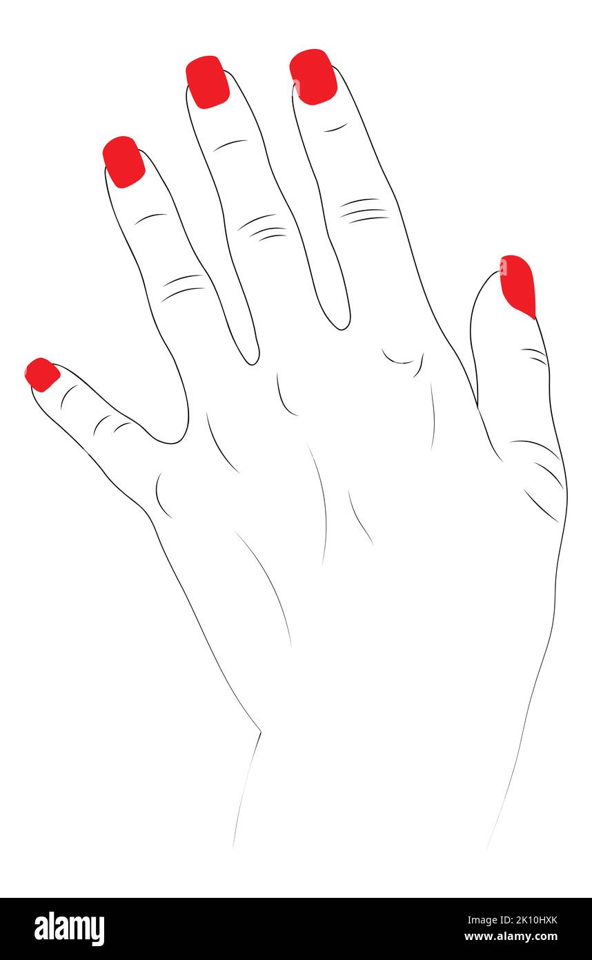 Human hand with red nail polish, line art style, minimalism Stock