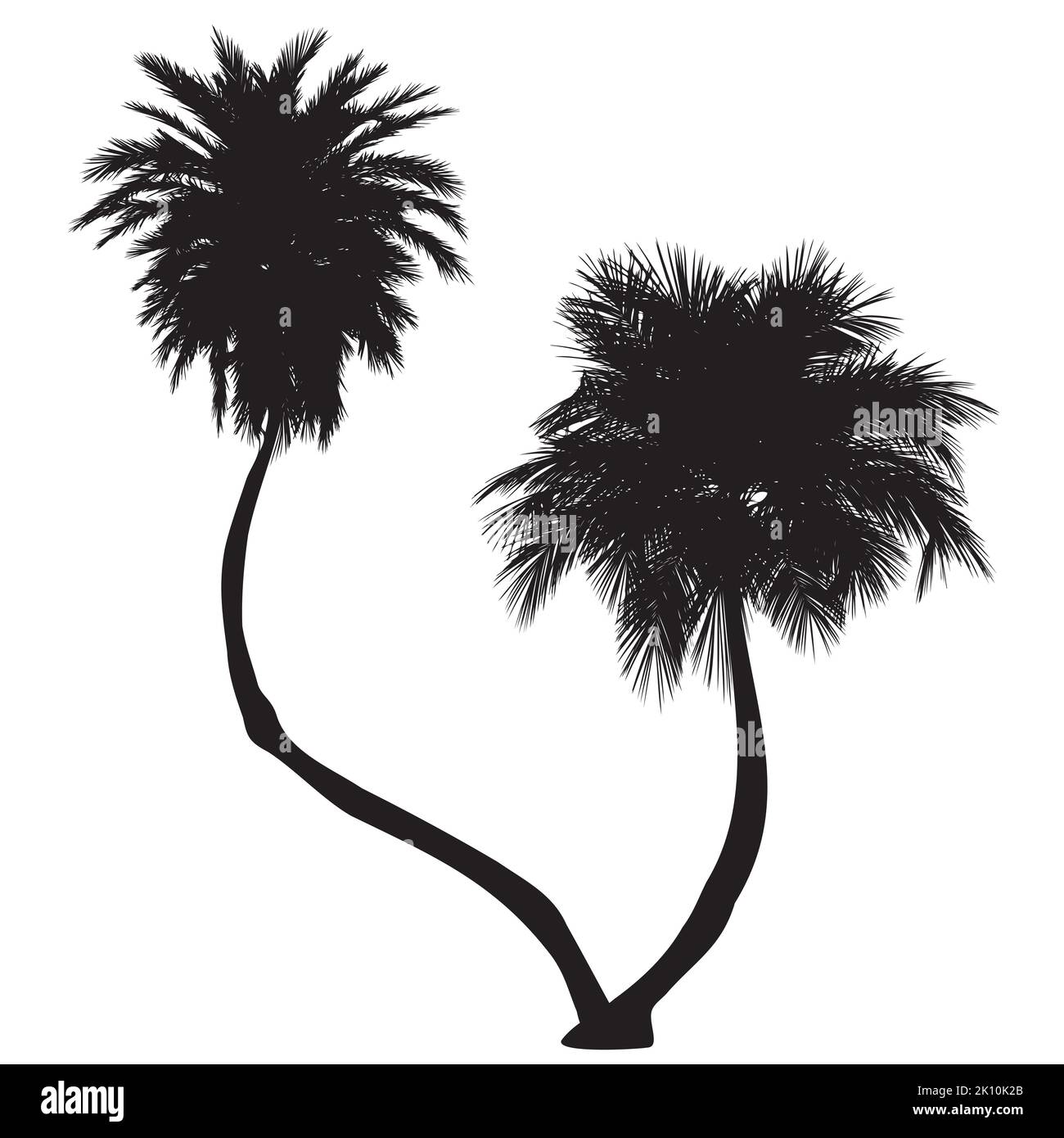 Detailed two palm trees black silhouettes illustration Stock Vector ...