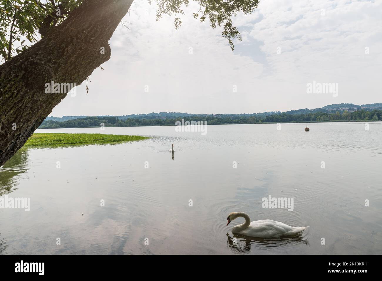 Italian lake. Varese lake in northern Italy Stock Photo