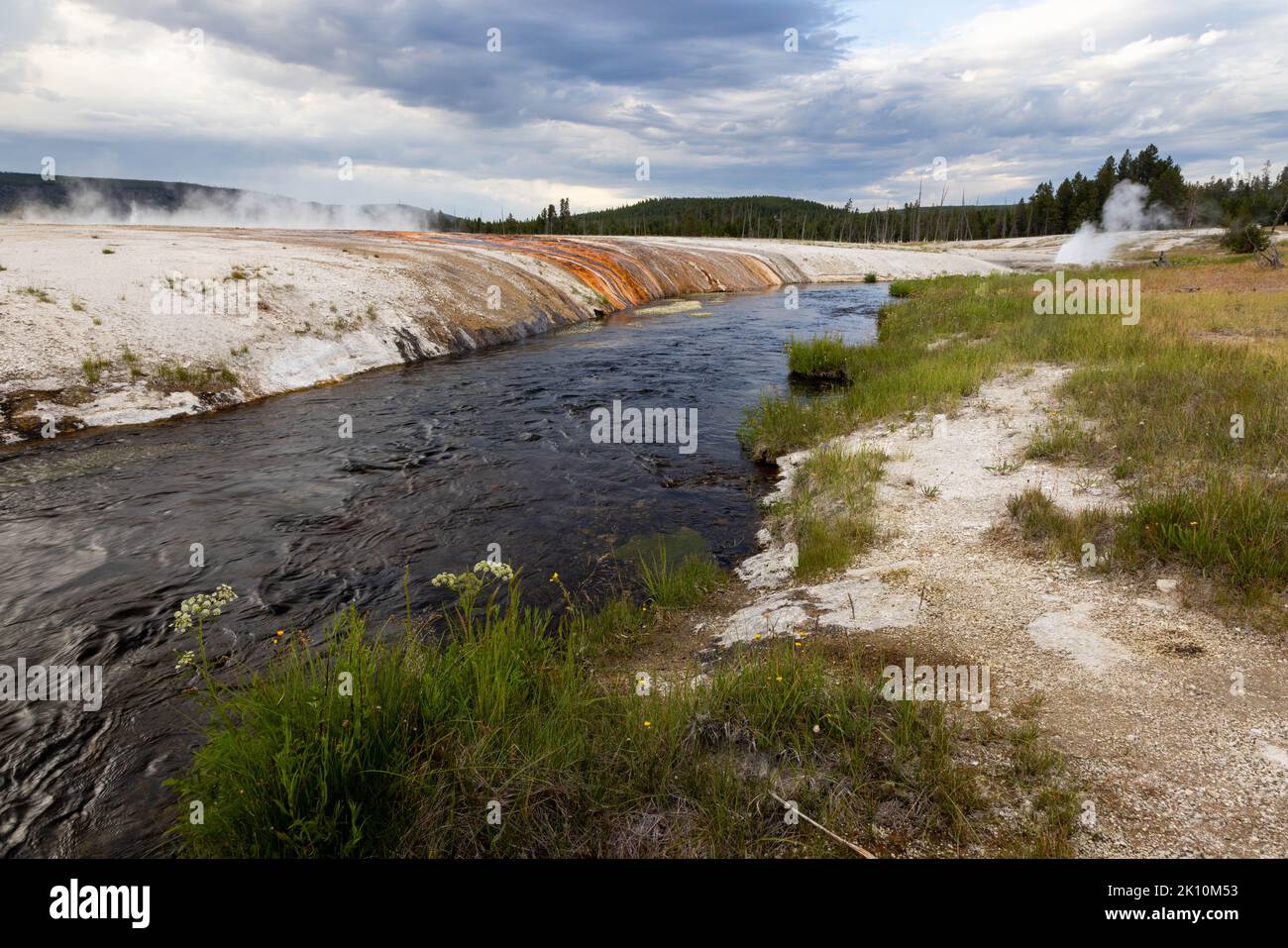 Grasses and wildflowers growing along the banks of Iron Spring Creek as it flows through Black Sand Basin. Yellowstone National Park, Wyoming Stock Photo