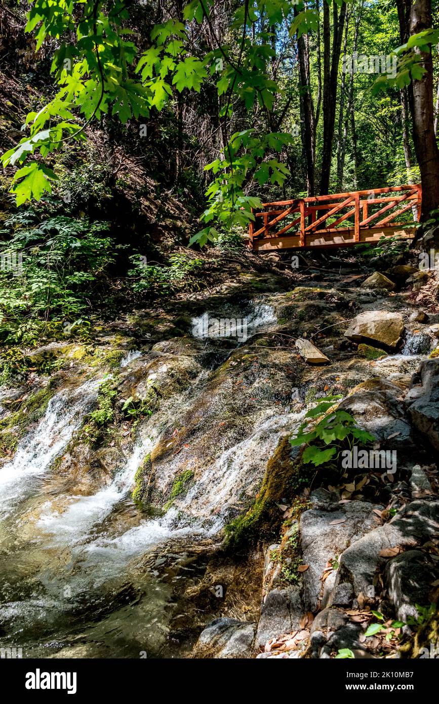 Crystal Creek forms a small waterfall flowing beneath a red bridge beside hiking trail to Whiskeytown Falls in Shasta County, northern California. Stock Photo