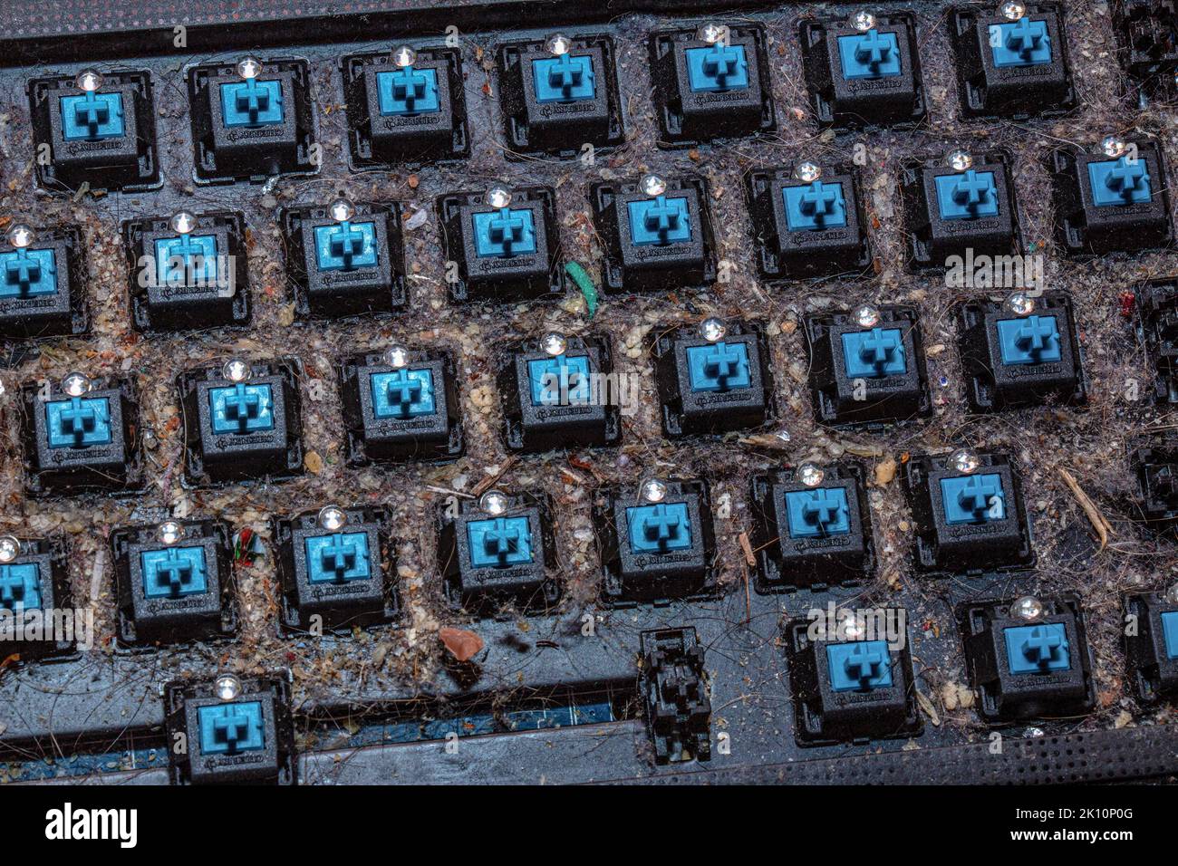 Very dirty keyboard. Dog hair, breadcrumbs and dust accumulated under ...