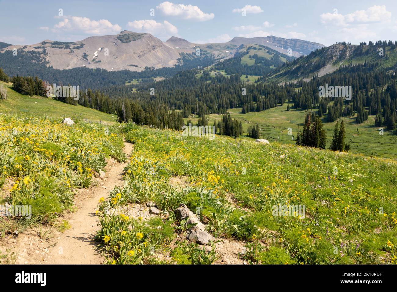 The Teton Crest Trail descending into the Middle and South Fork areas