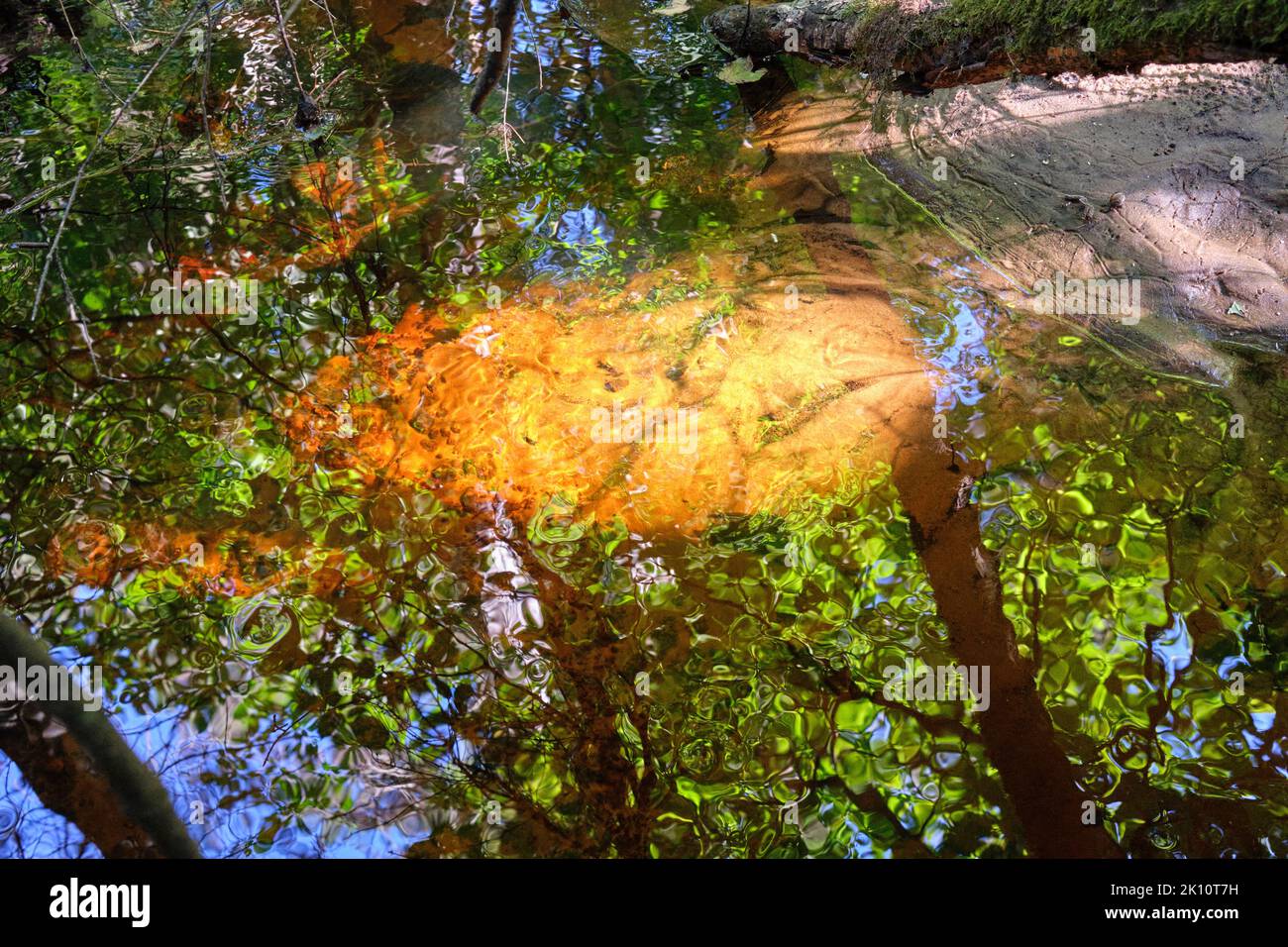 Reflections in water flow and river pebbles in close-up, Kemeri National Park, Latvia Stock Photo