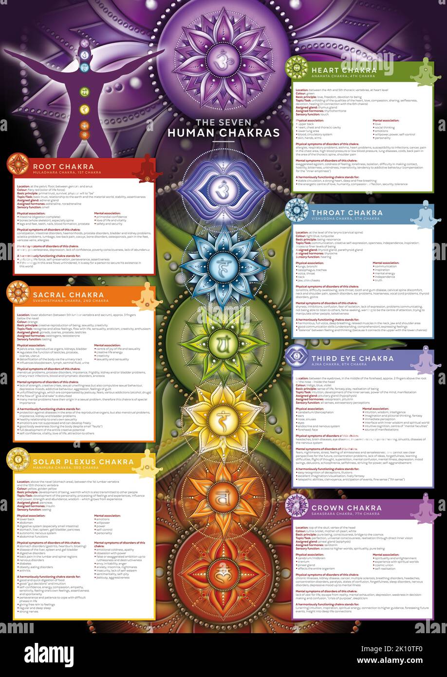 Powerful 7 Chakra - Infographic poster/wallpaper including detailed description, characteristics and features Stock Photo