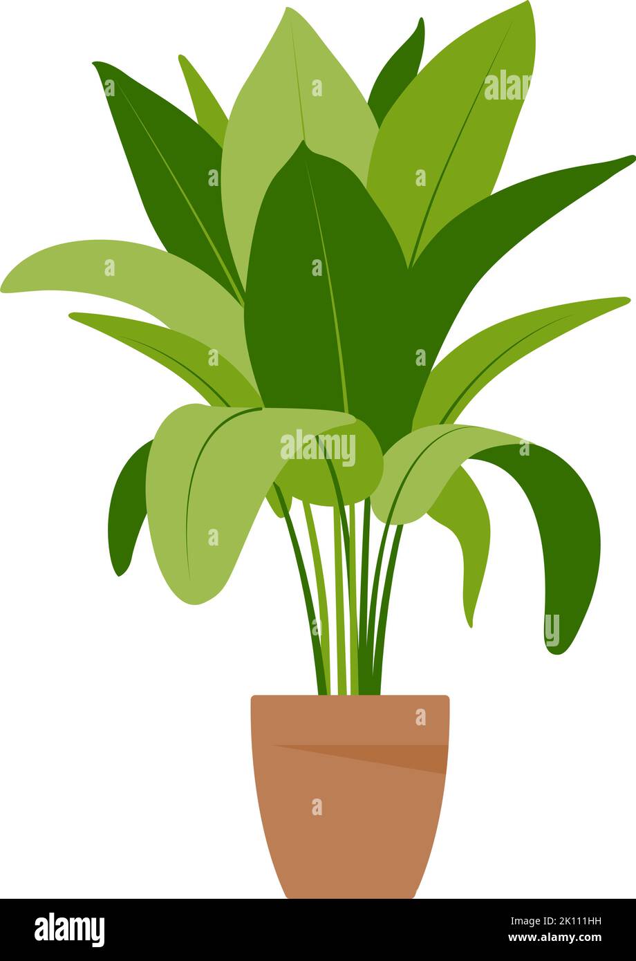 Home plant. Potted plant isolated on white. Flat. Vector illustration ...