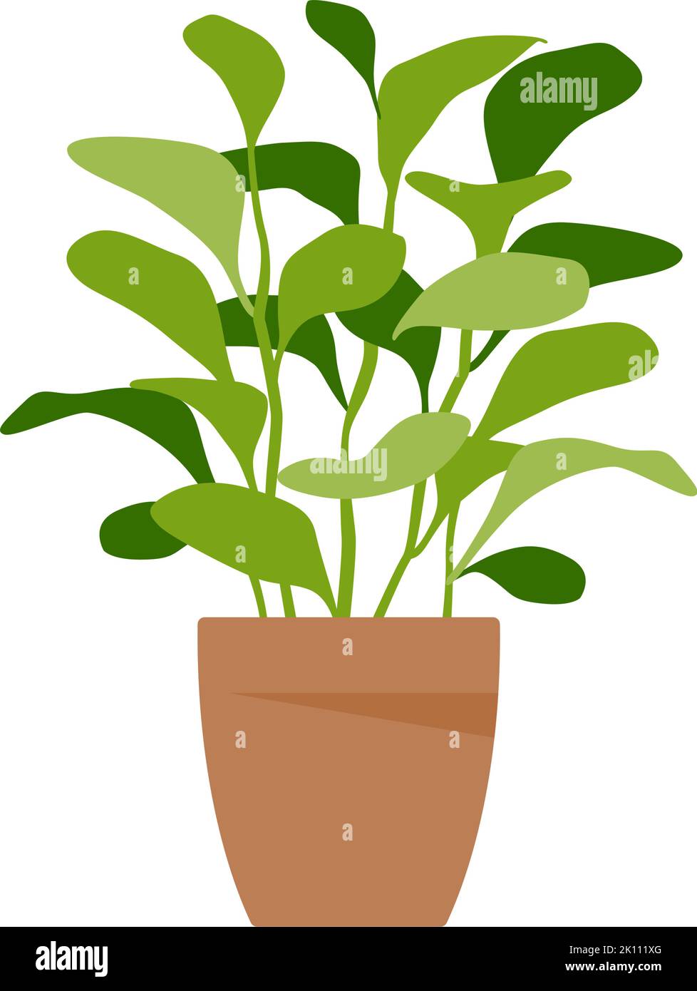 Home plant. Potted plant isolated on white. Flat. Vector illustration ...