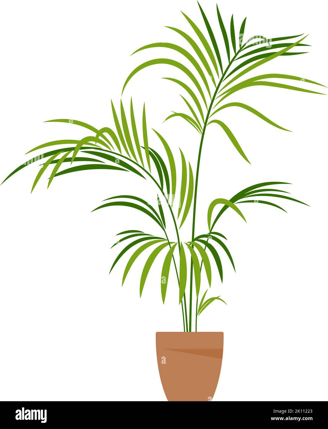Home plant. Potted plant isolated on white. Flat. Vector illustration ...
