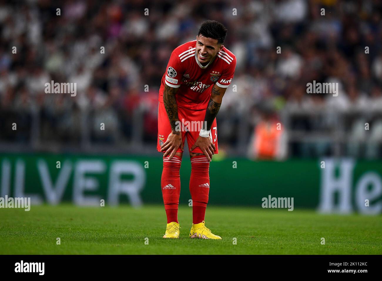 Turin, Italy. 14 September 2022. Enzo Fernandez of SL Benfica looks dejected during the UEFA Champions League football match between Juventus FC and SL Benfica. Credit: Nicolò Campo/Alamy Live News Stock Photo