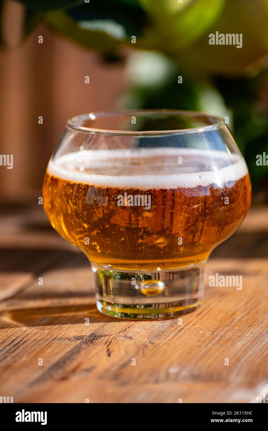 Tasting of fresh apple cider brut produced on organic farm from bio