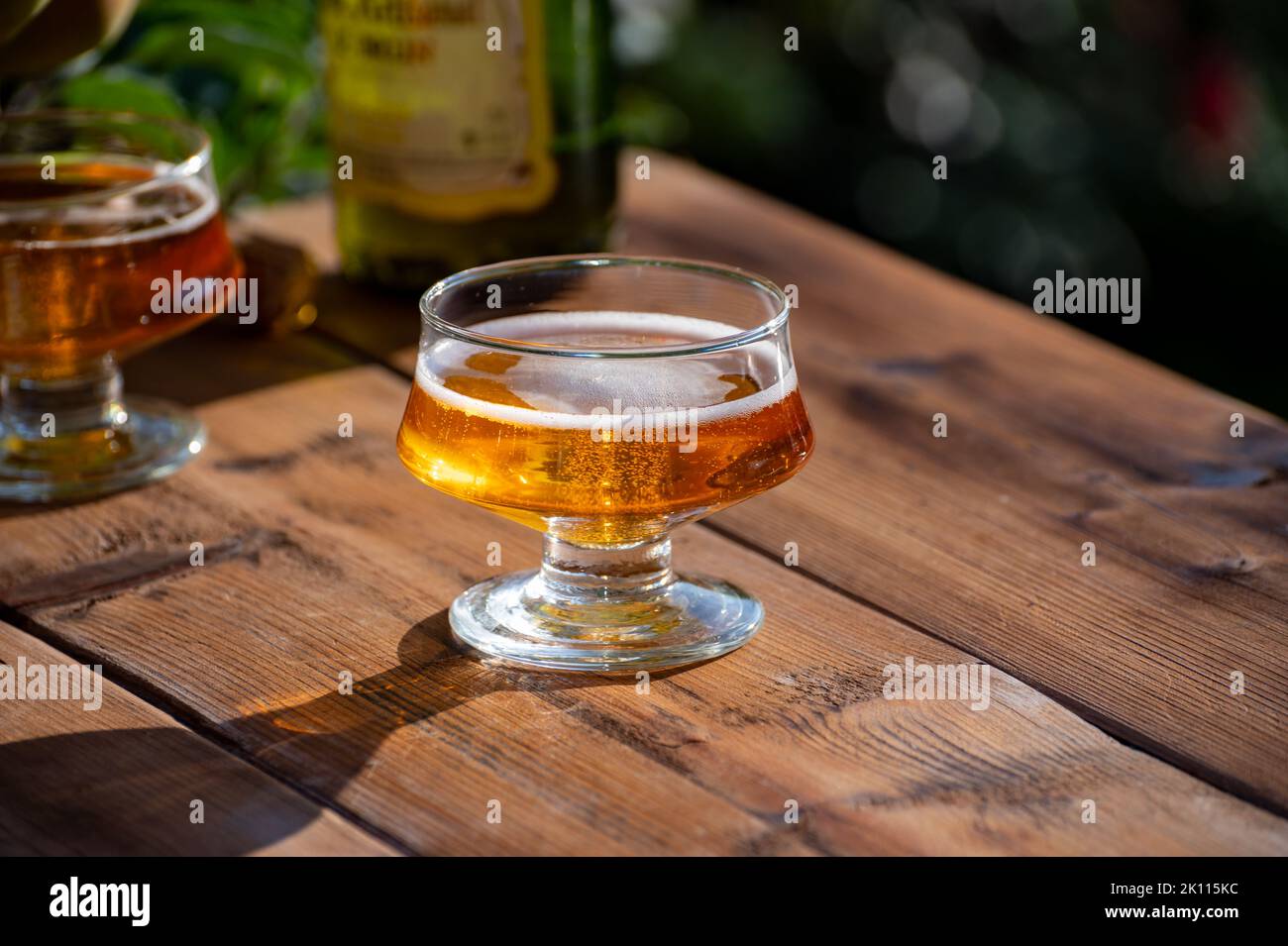 Tasting of fresh apple cider brut produced on organic farm from bio