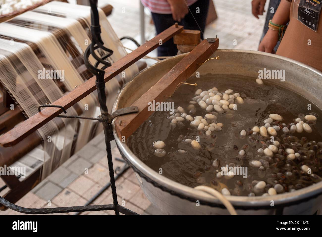cocoons of white silkworms bred to produce silk , raw silk Stock Photo