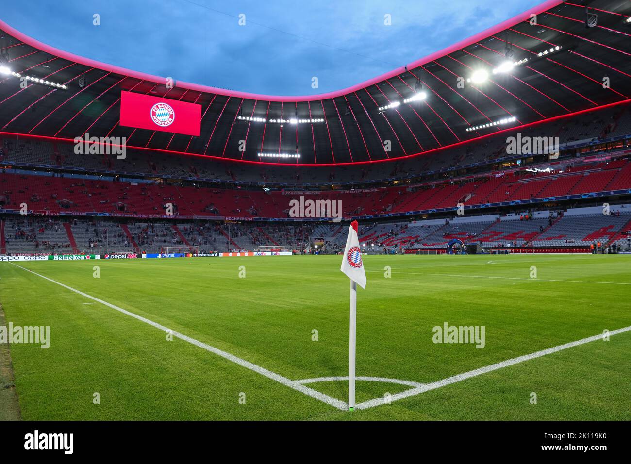 A general view of the Allianz Arena and UEFA Champions League branding  pitch side before the match Stock Photo - Alamy