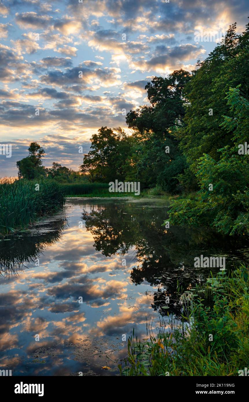 The sun rises over a forest edge and a backwater wetland of the DesPlaines River, DesPlaines