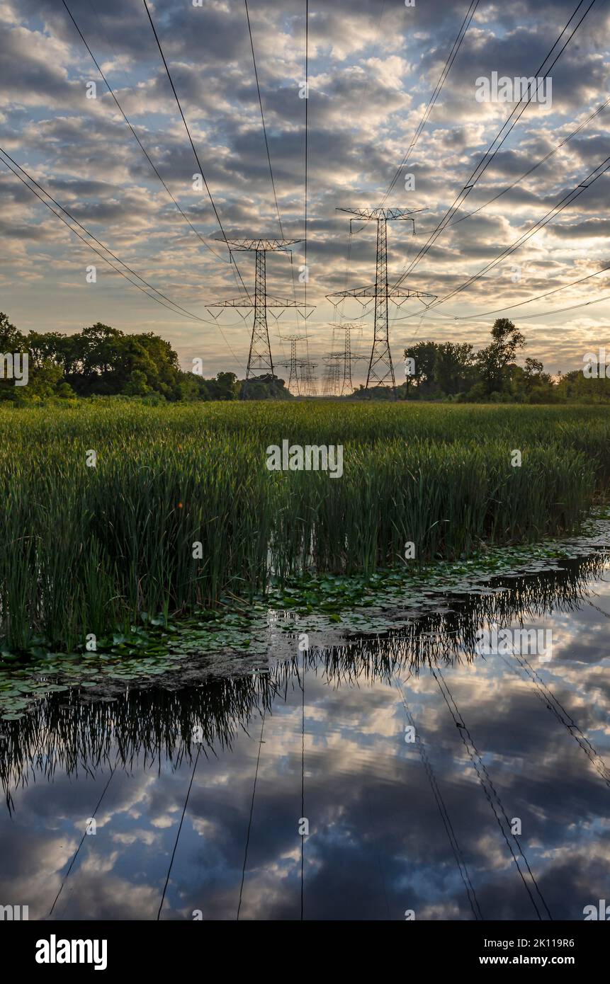 Power lines cross a backwater area of the DesPlaines River in