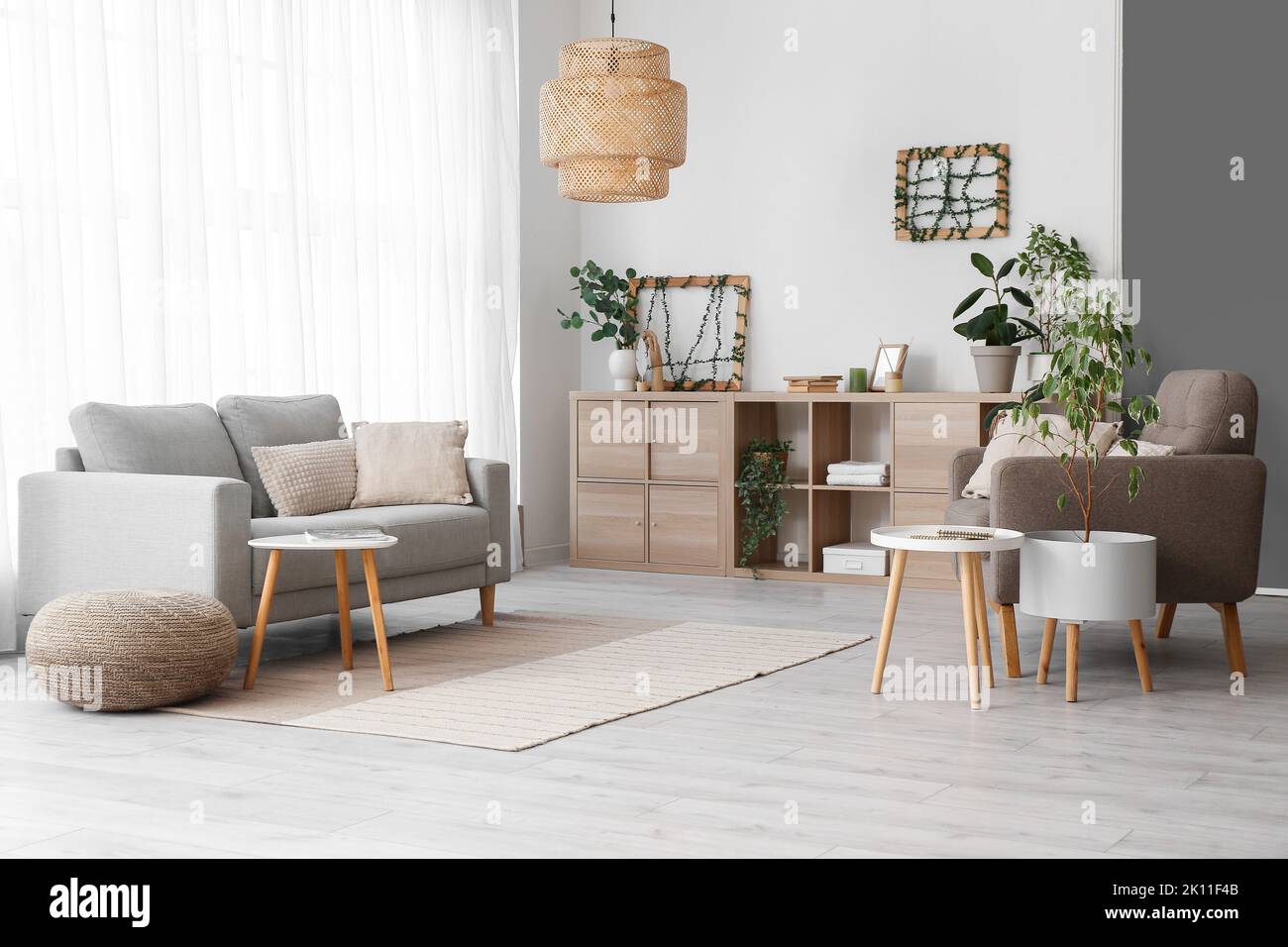 Interior of cozy living room with houseplants, sofa and armchair Stock ...