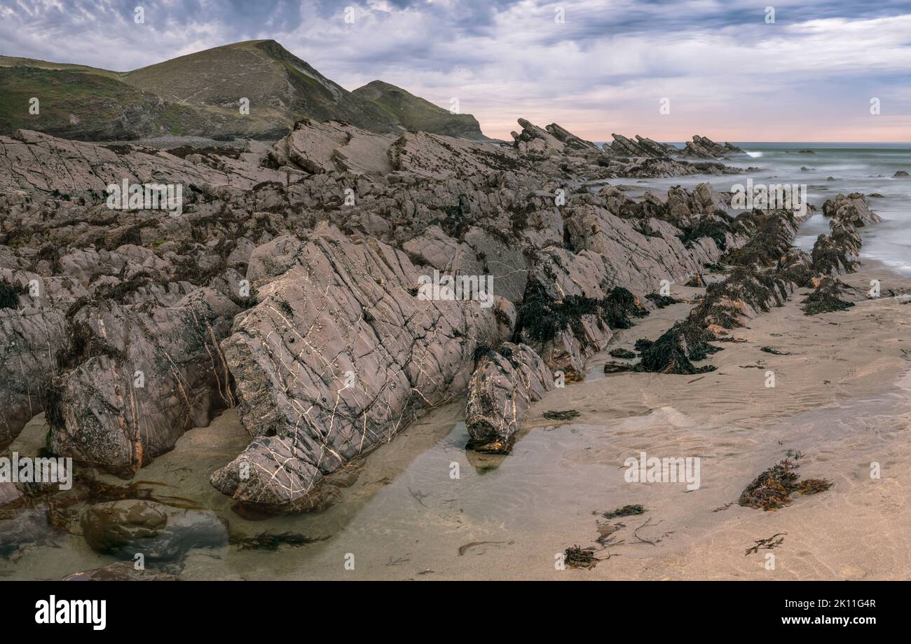 Situated on the Atlantic coast, the cove at Crackington Haven is surrounded by spectacular cliffs and has a geological phenomena named after it; The C Stock Photo