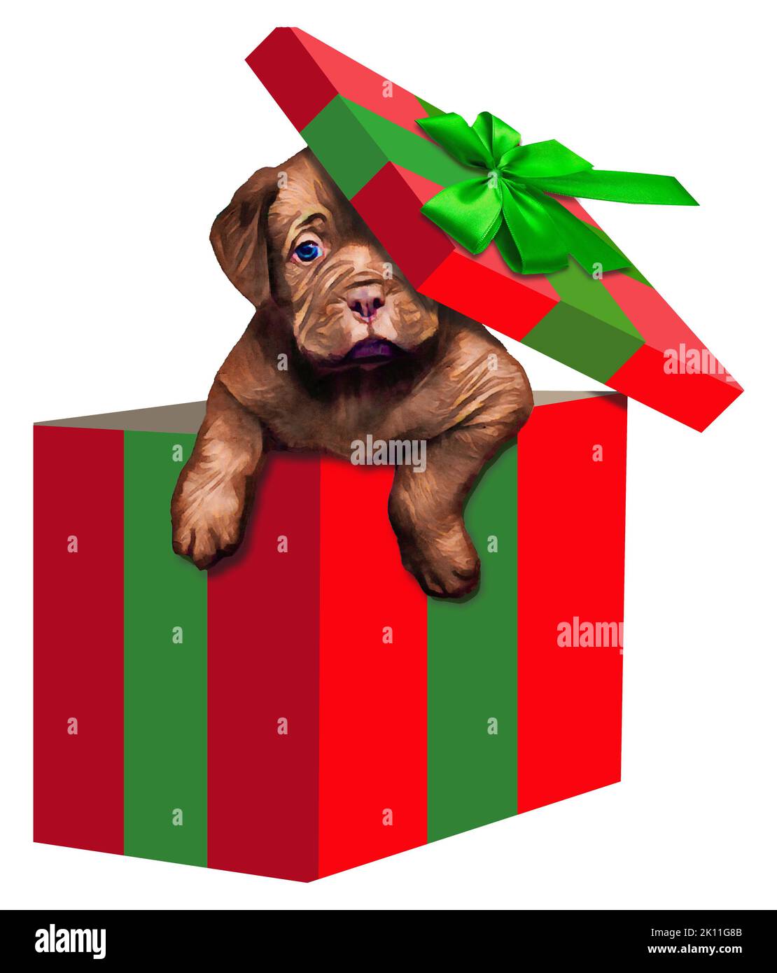 A cute puppy dog pops out of a Christmas gift box in a 3-d illustration Stock Photo