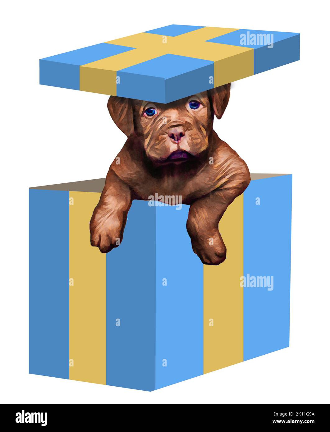A puppy dog is seen in a gift box with the box lid balanced on it’s head. This is a 3-d illustration on a transparent background. Stock Photo