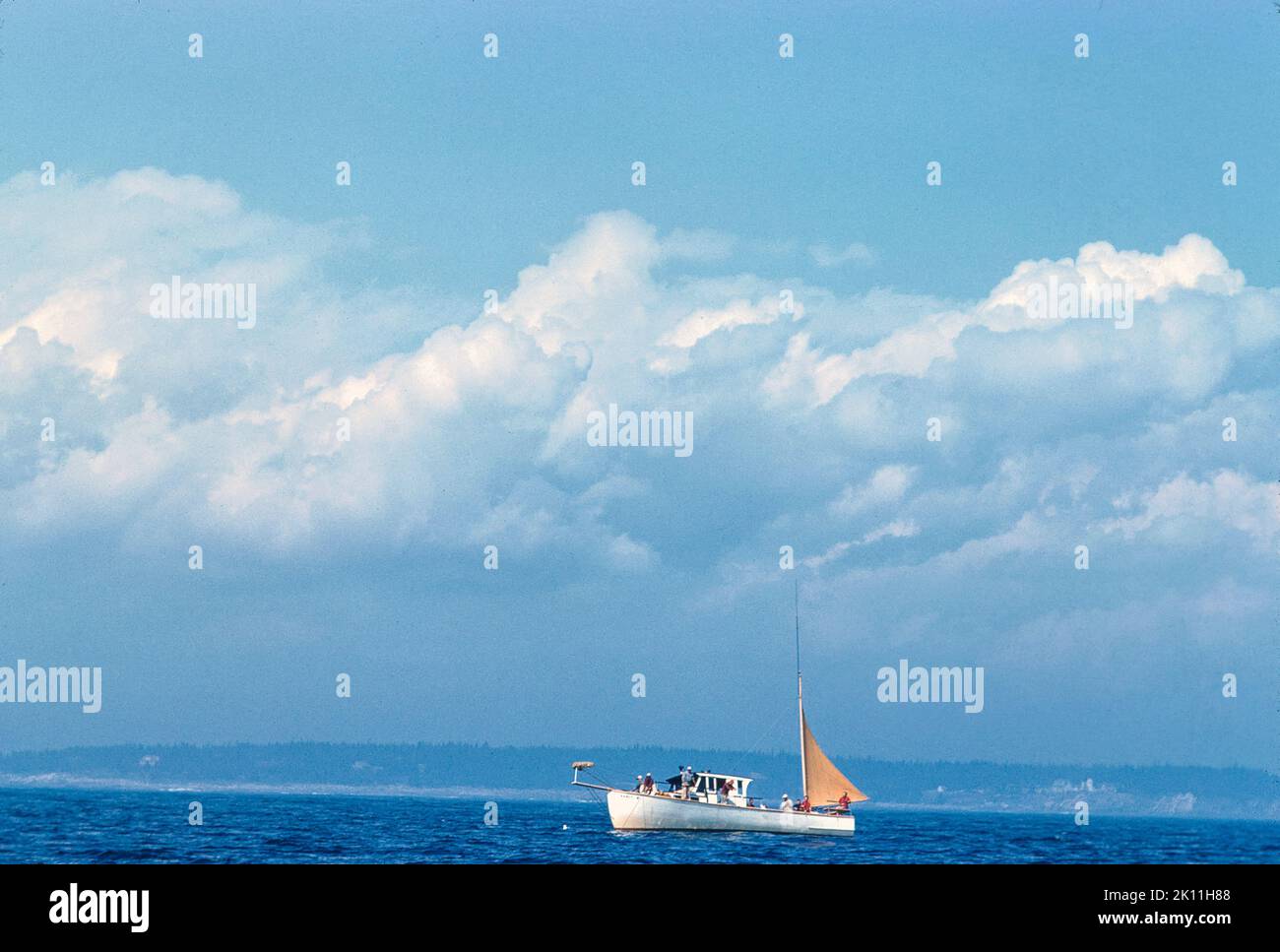 Sailboat at Sea, Mount Desert Island, Maine, USA, Toni Frissell Collection, 1958 Stock Photo