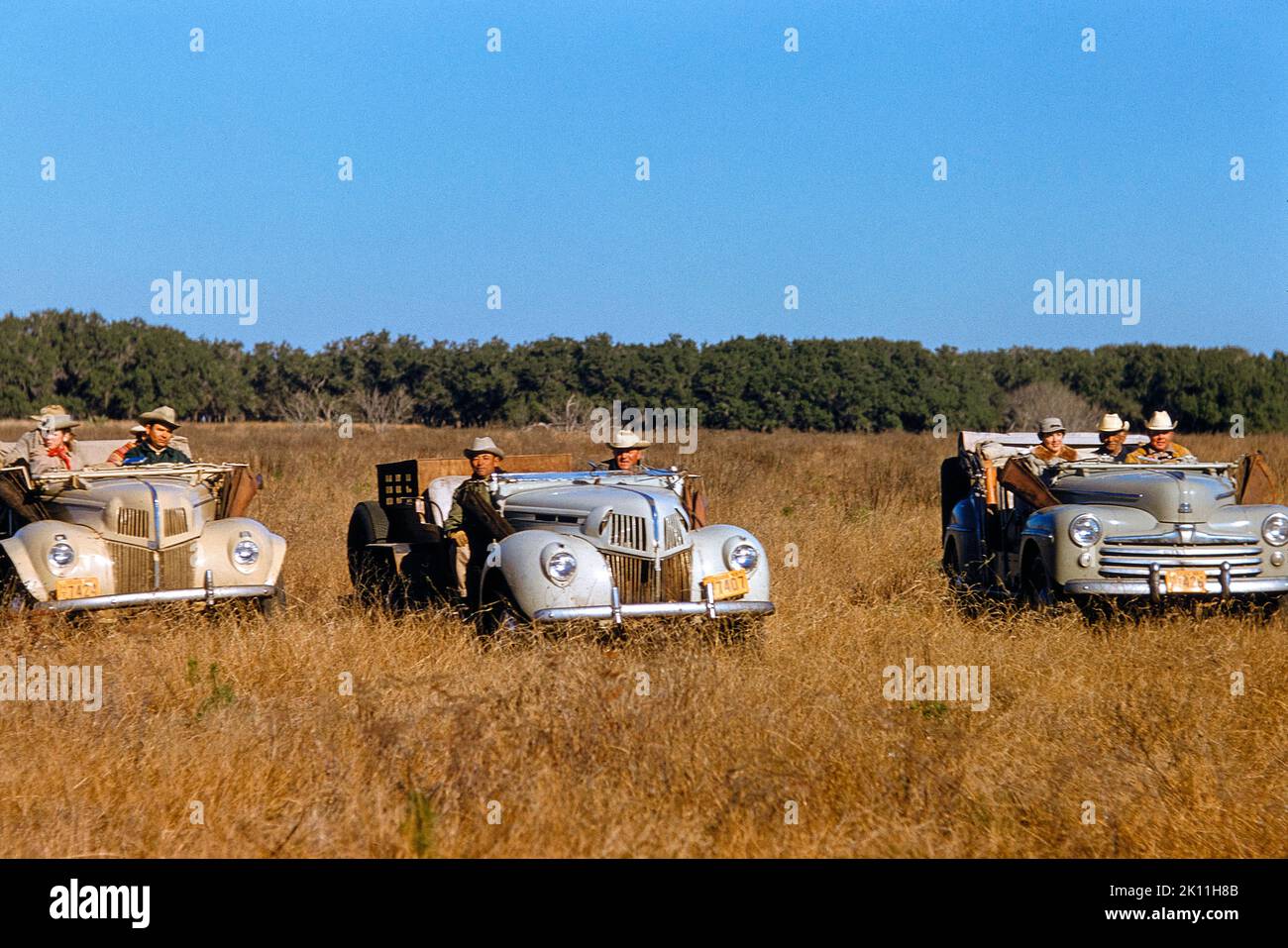 Quail Hunt, Texas, USA, Toni Frissell Collection, January 1956 Stock