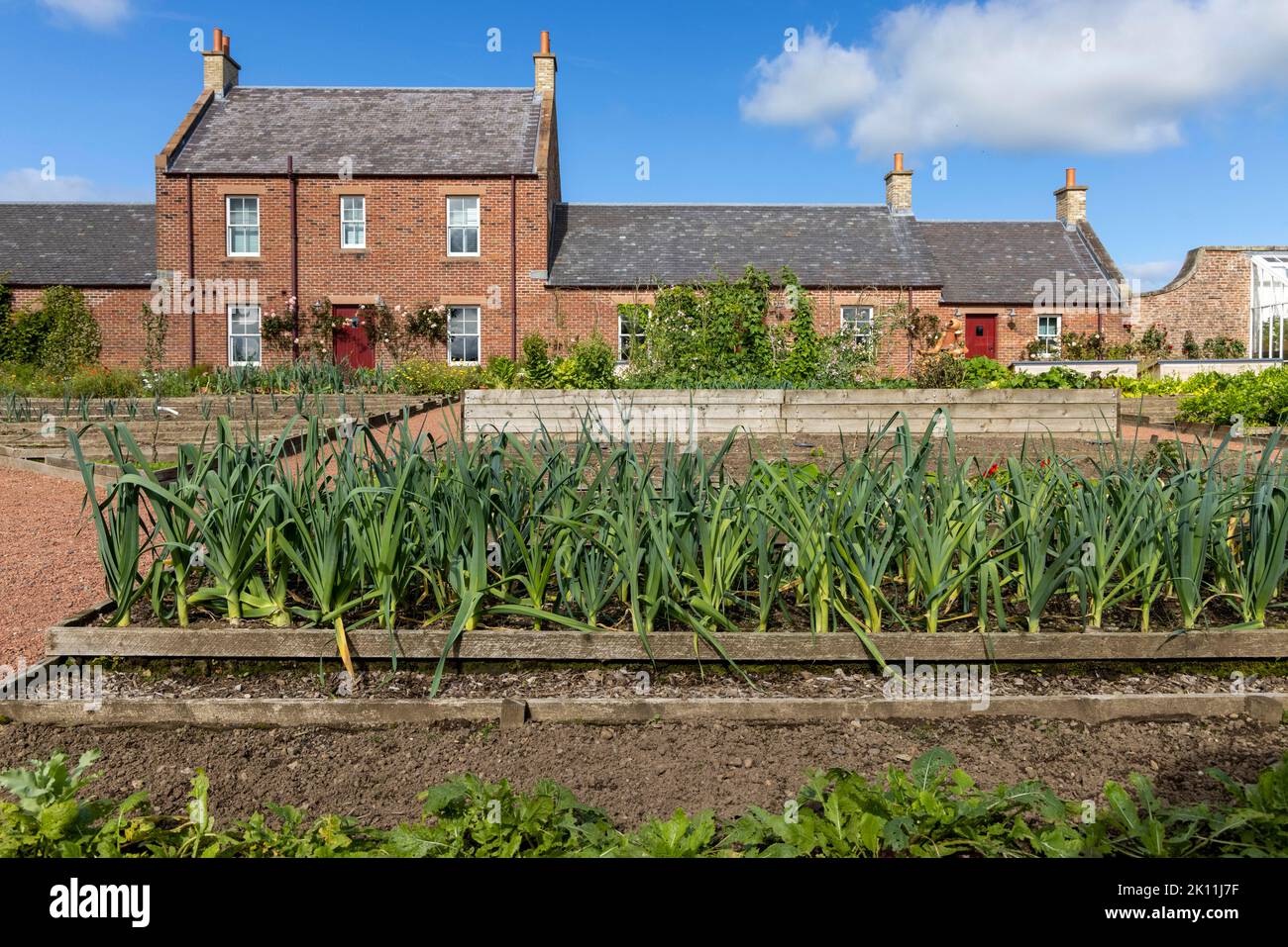 The Pierburg Building and the Kauffman Education garden, which is part of the Queen Elizabeth
