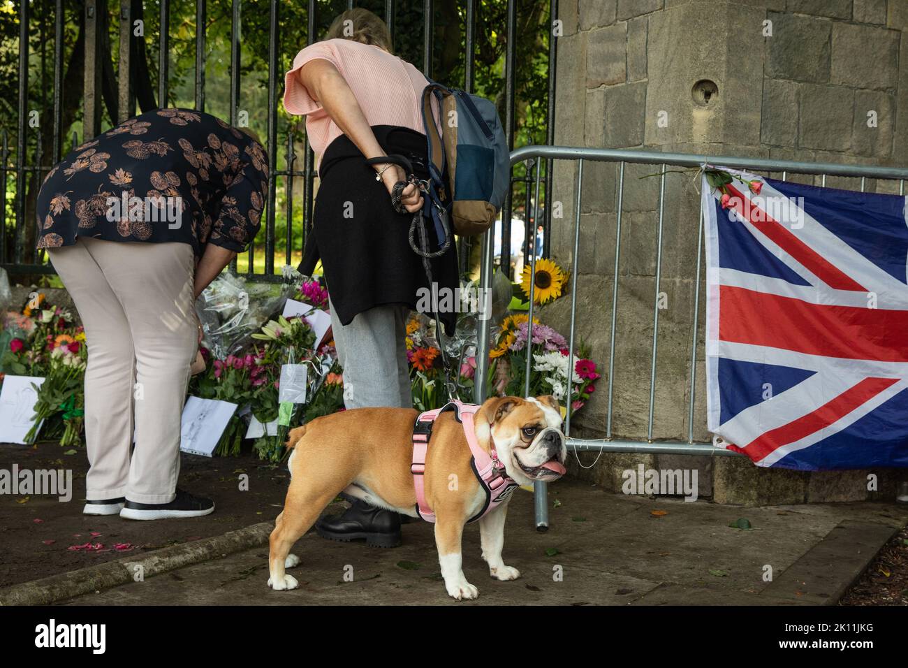 Windsor, UK. 14th September, 2022. Mourners with a bulldog lay floral tributes to Queen Elizabeth II at Cambridge Gate outside Windsor Castle. Queen Elizabeth II, the UK's longest-serving monarch, died at Balmoral aged 96 on 8th September after a reign lasting 70 years and will be buried in the King George VI memorial chapel in Windsor following a state funeral in Westminster Abbey on 19th September. Credit: Mark Kerrison/Alamy Live News Stock Photo