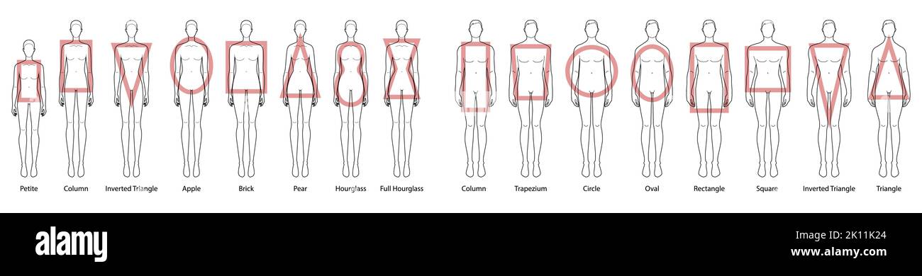 Set of Women face and body shape types - oval, oblong, square, triangle,  round, rectangle shape. Female