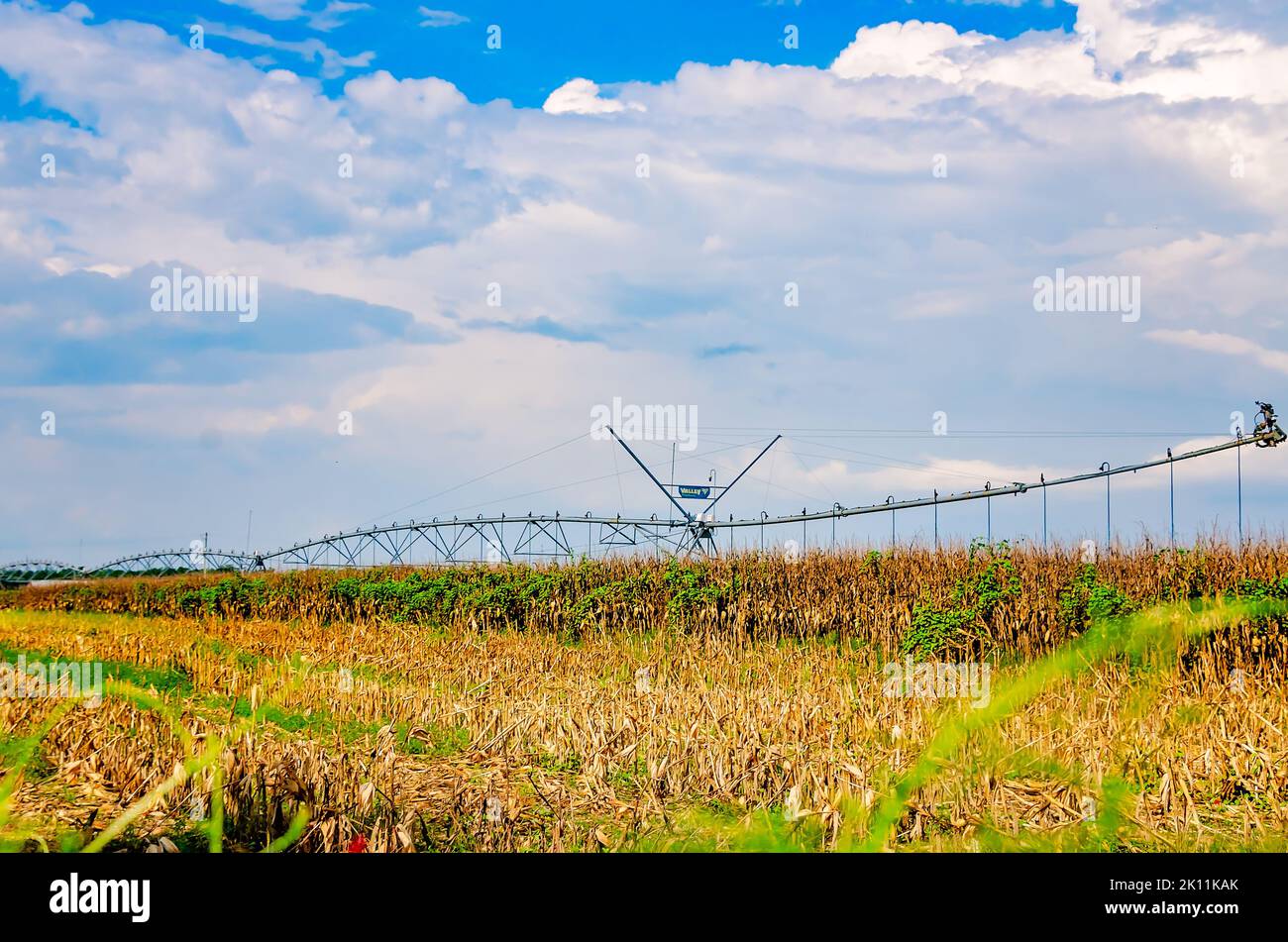 A crop irrigation system stands in a field, Sept. 8, 2022, in Fairhope, Alabama. Baldwin County is home to more than 800 farms. Stock Photo
