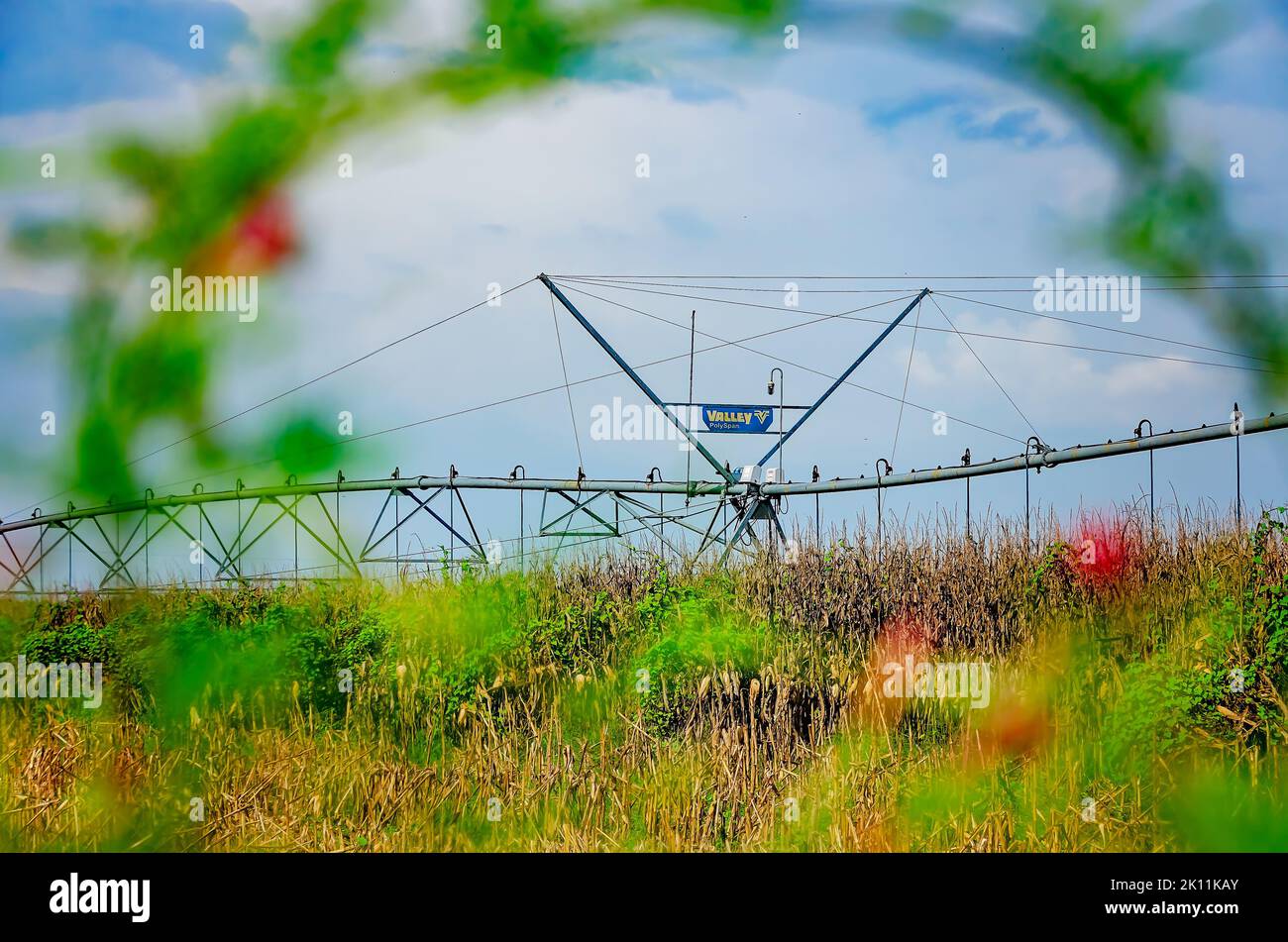 A crop irrigation system stands in a field, Sept. 8, 2022, in Fairhope, Alabama. Baldwin County is home to more than 800 farms. Stock Photo