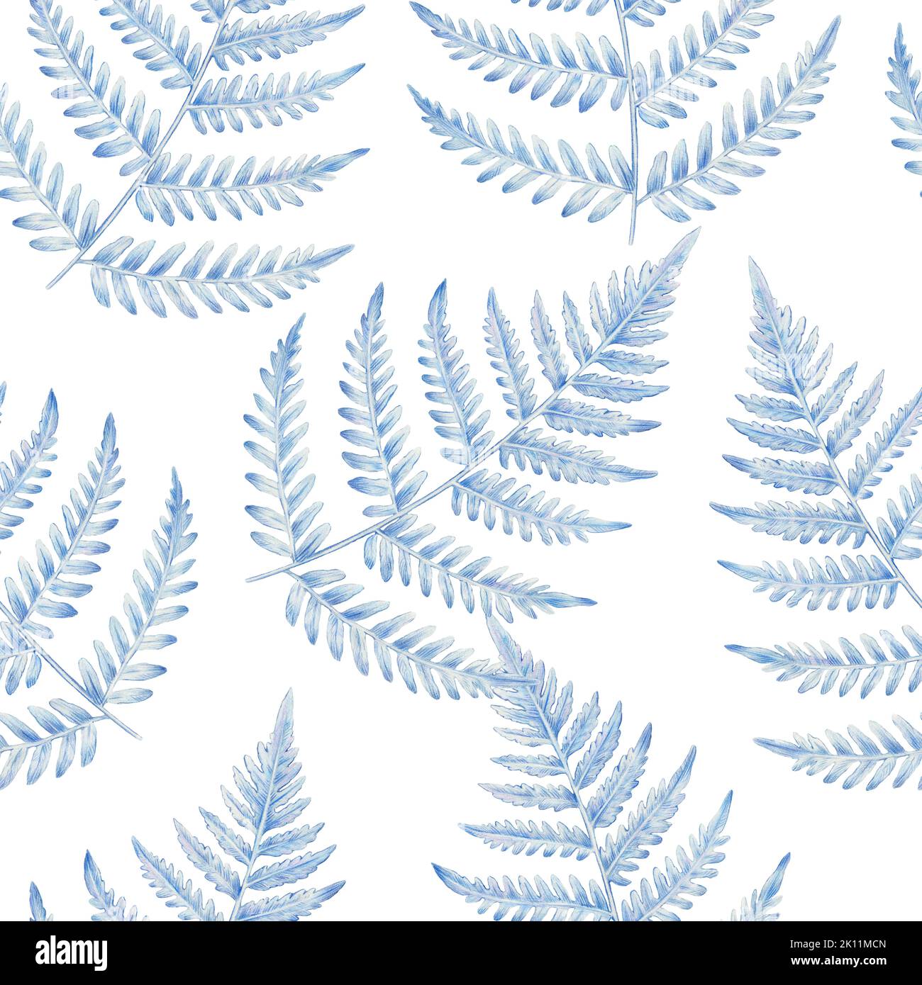 Hand drawn seamless pattern with fern leaves. Detailed watercolor botanical illustration. Stock Photo