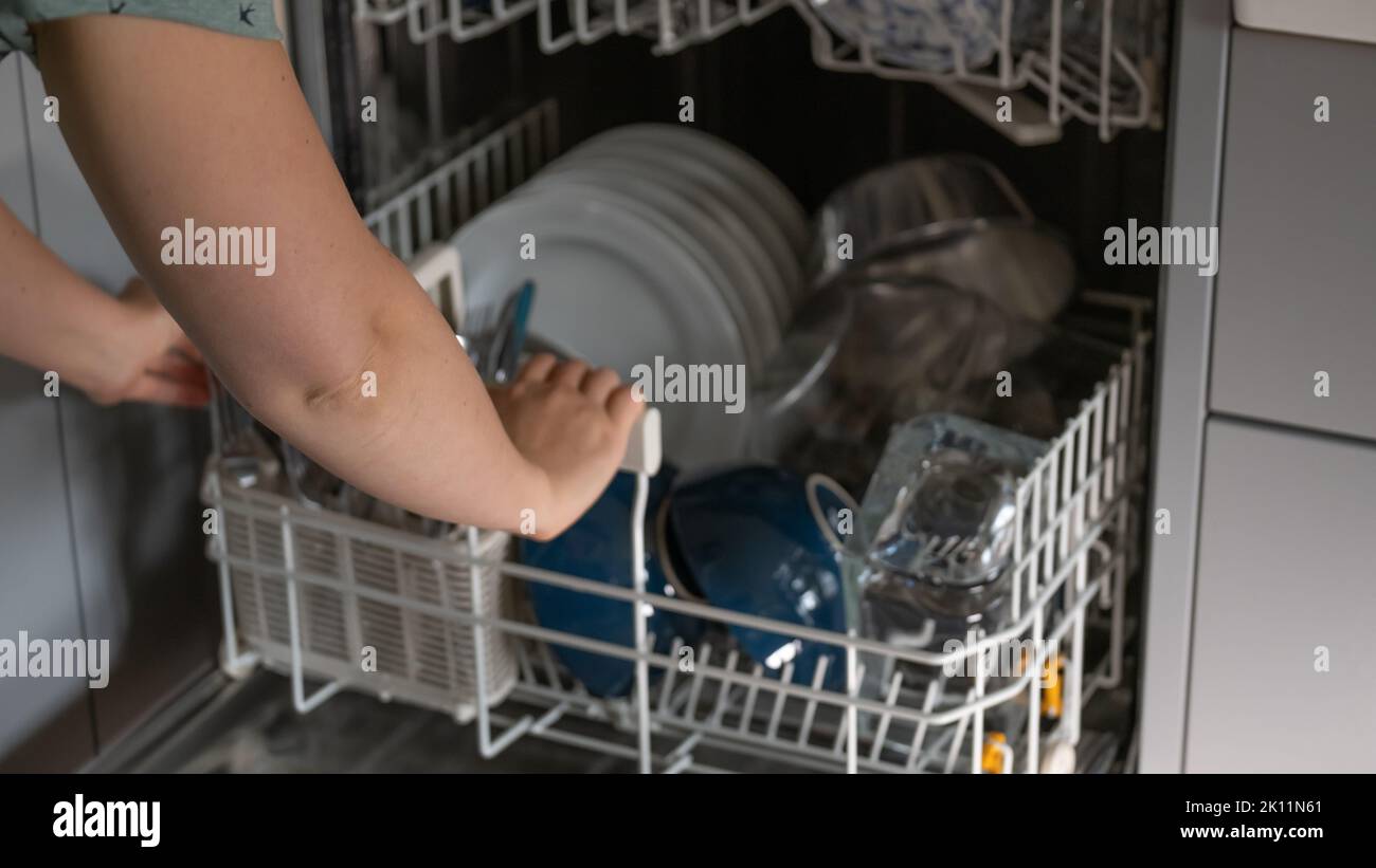 Dishwasher. hands sort clean dishes from the dishwasher. Plates, forks and glasses in the dishwasher.Dishwasher with clean dishes.Appliances for the Stock Photo