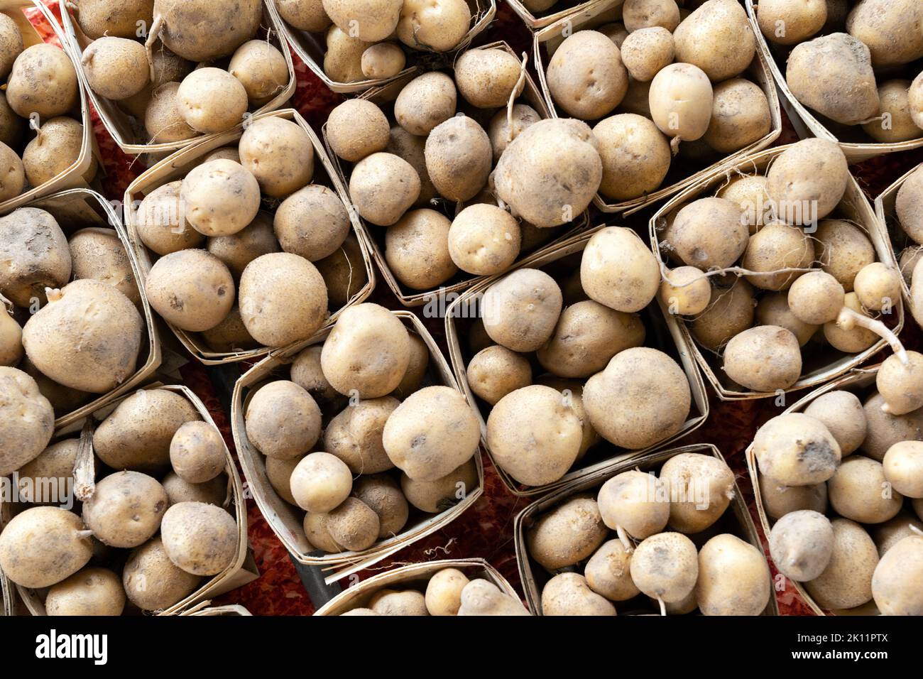 Fresh organic brown unpeeled potatoes on a farmer market Stock Photo