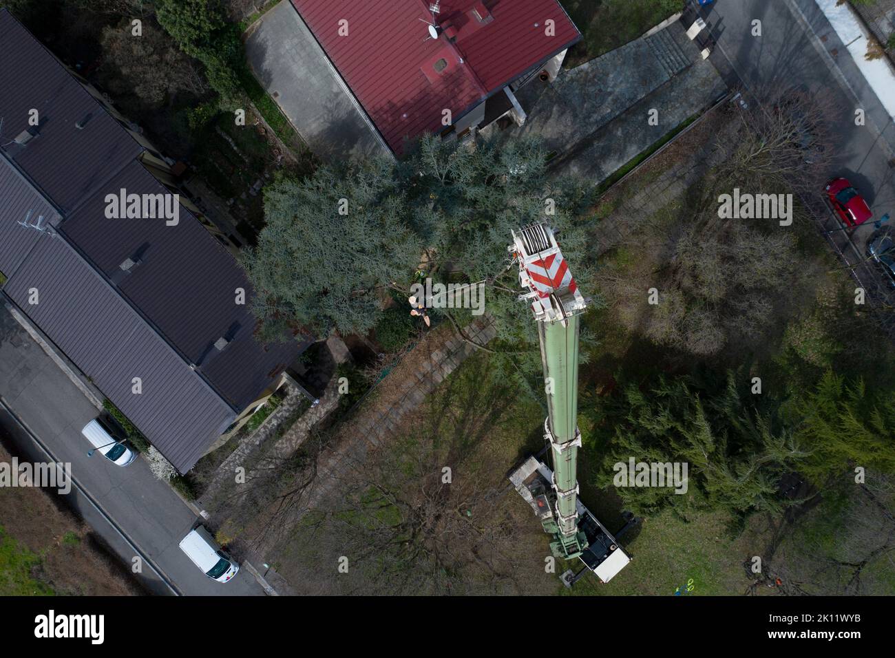 Top view of the garden with crane for moving the cut logs Stock Photo