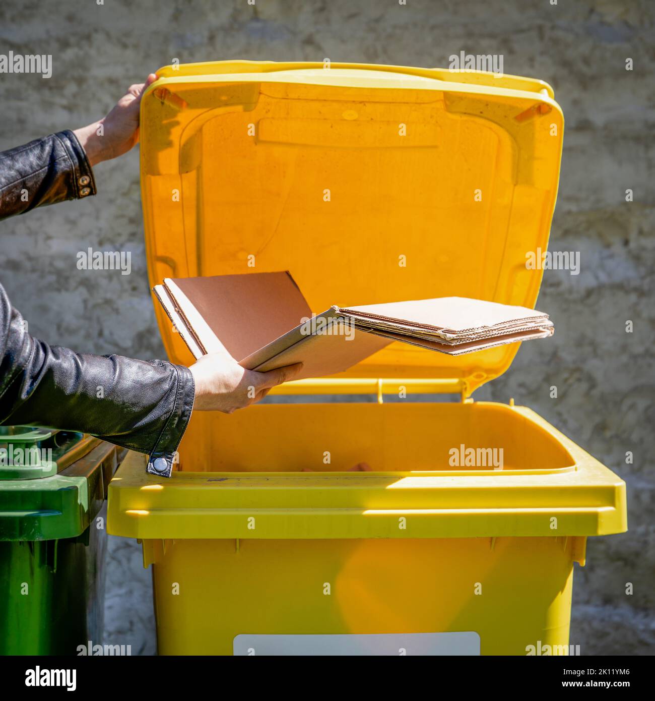 Paper and cardboard sorting container. Environmental cleanliness. Stock Photo