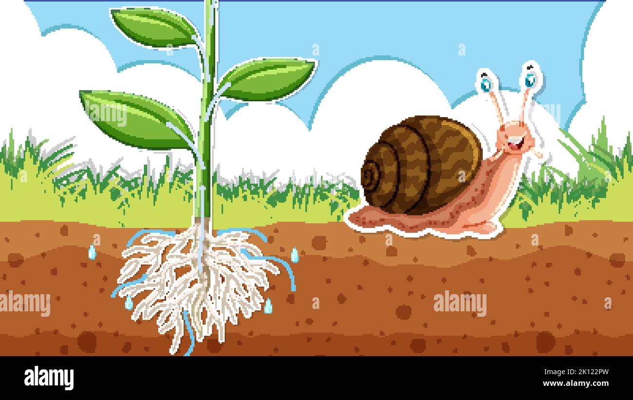 Thumbnail design with snail and plant roots in soil illustration Stock ...