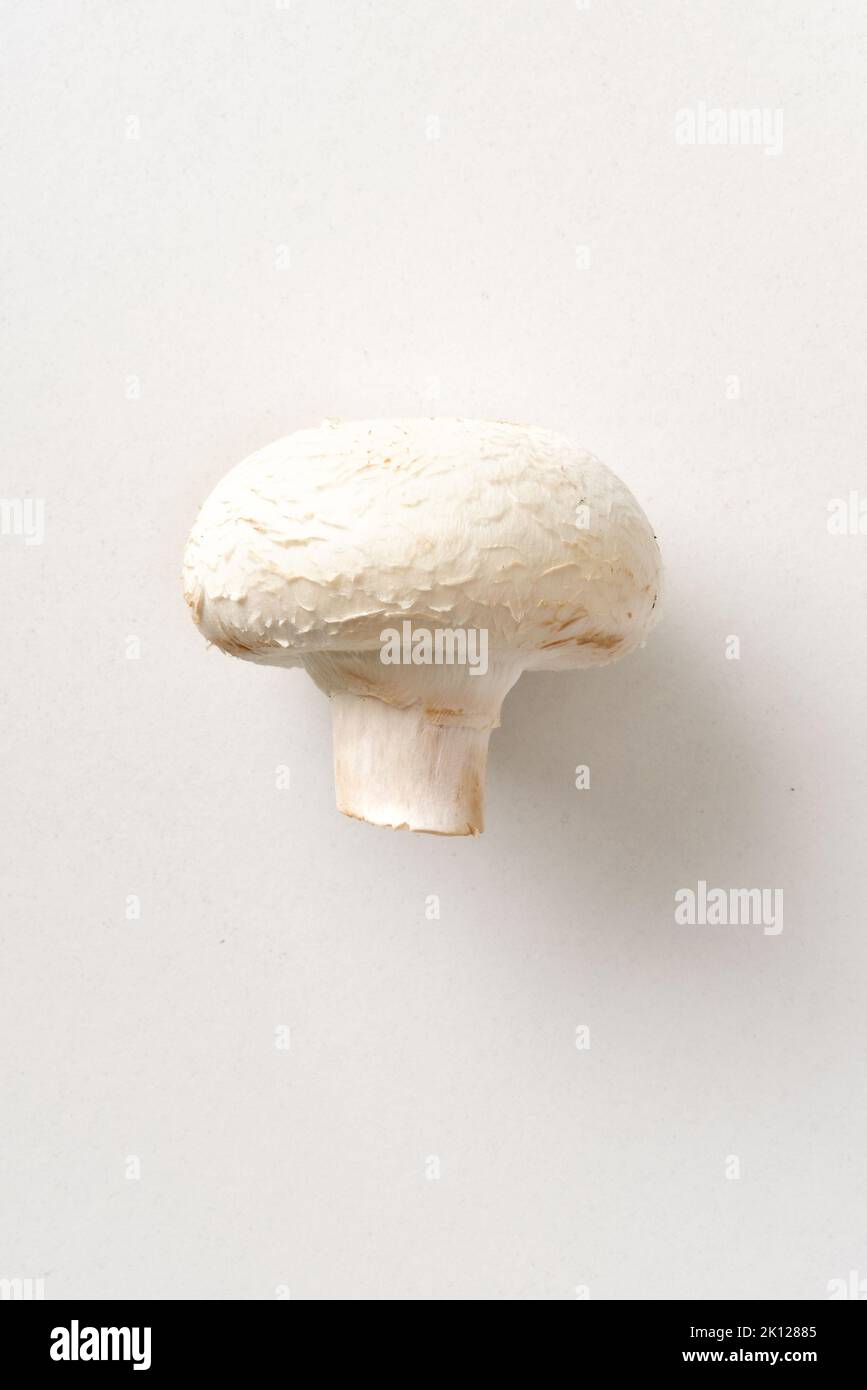 Detail of whole mushroom isolated on white table. Top view. Vertical composition. Stock Photo