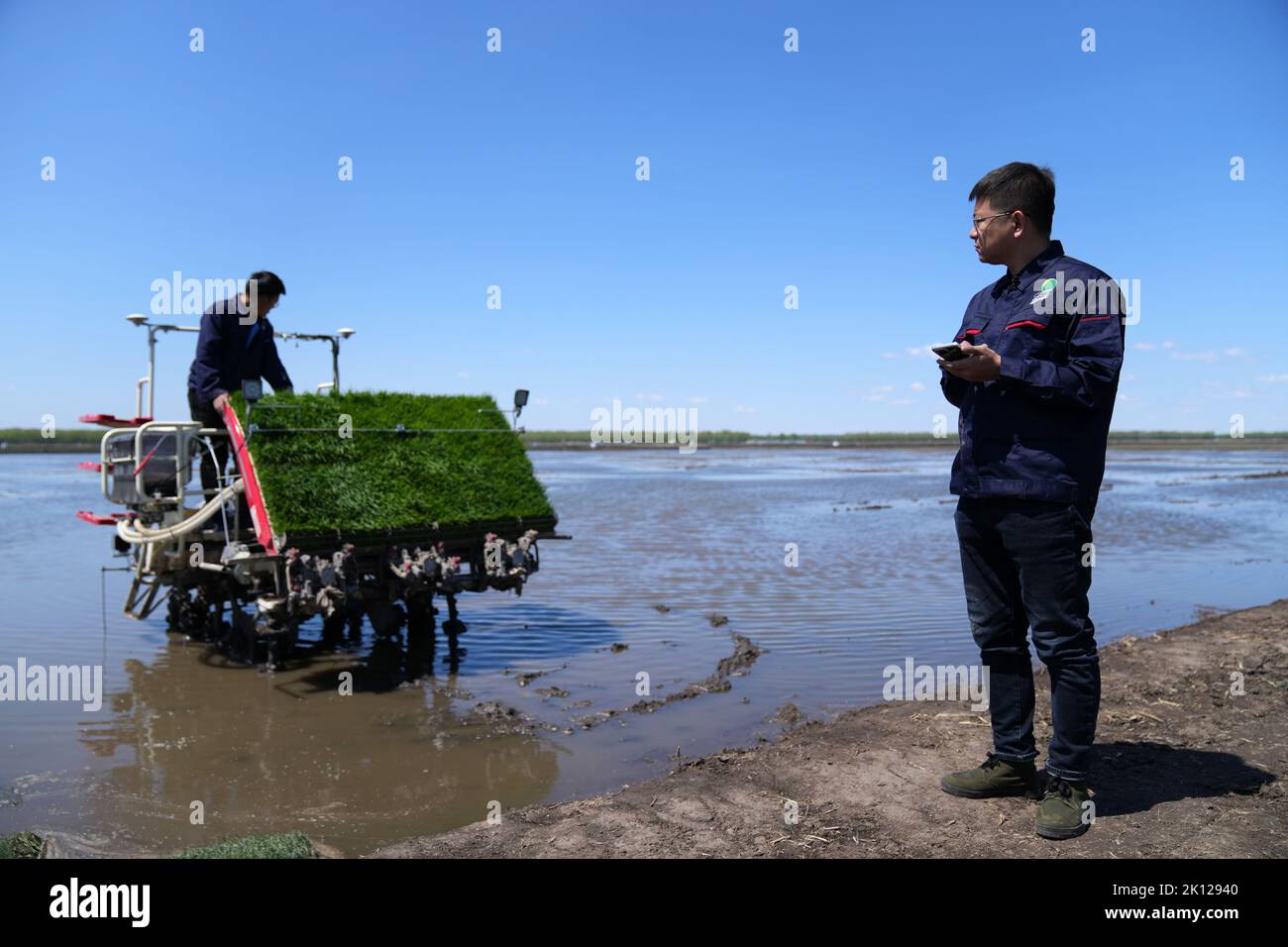 Harbin. 18th May, 2022. A machine operator of Beidahuang Group (R) controls via a mobile phone a rice transplanter equipped with the Beidou satellite navigation system at a rice paddy in northeast China's Heilongjiang Province, May 18, 2022. Credit: Wang Jianwei/Xinhua/Alamy Live News Stock Photo