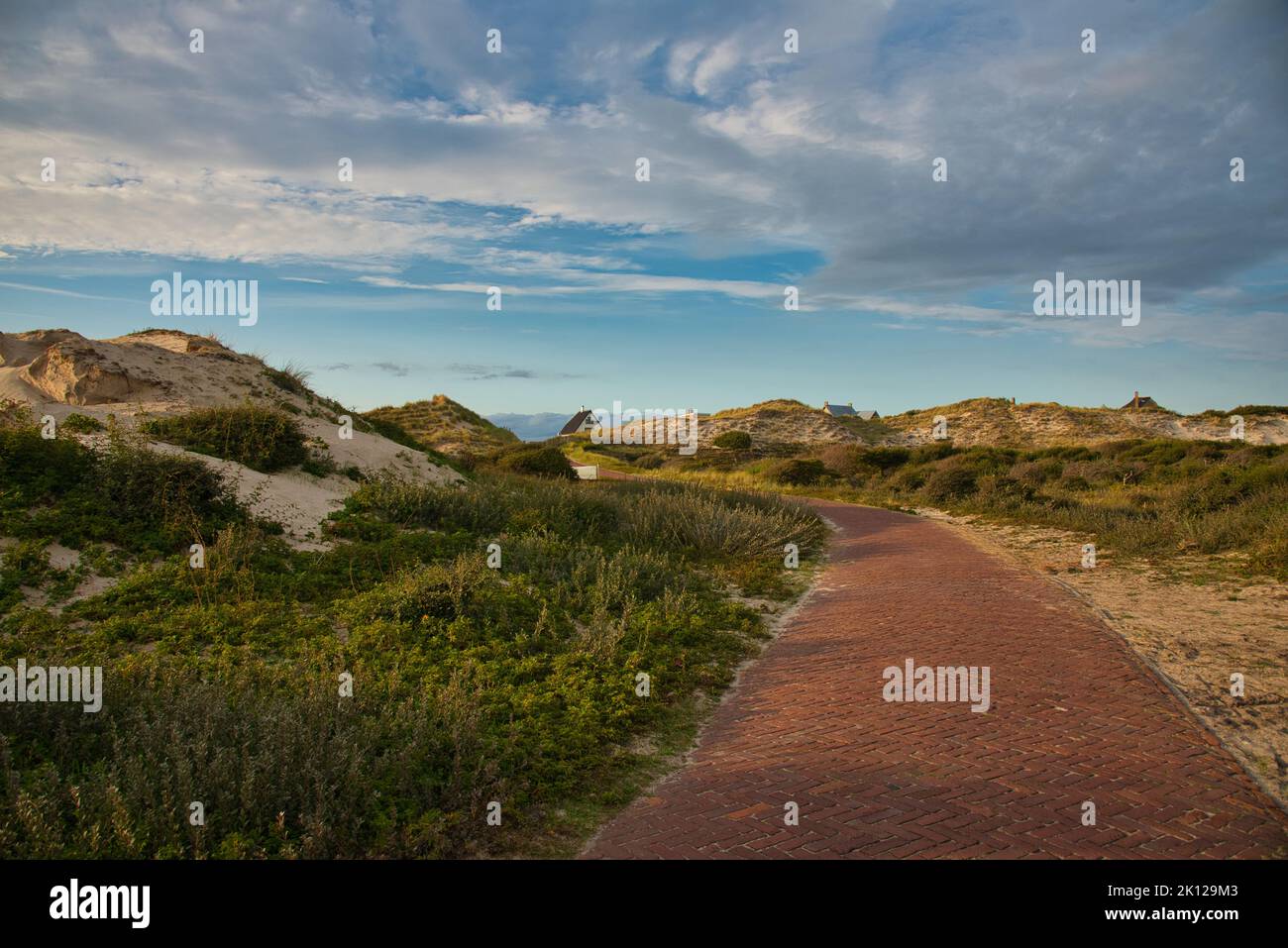 Dunes in the north of Netherland in Egmond aan Zee Stock Photo - Alamy