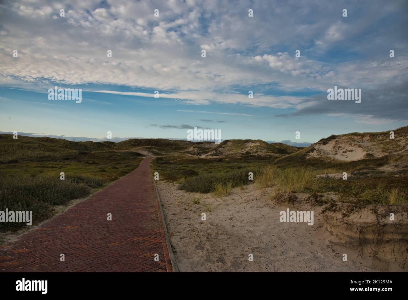 Dunes in the north of Netherland in Egmond aan Zee Stock Photo - Alamy