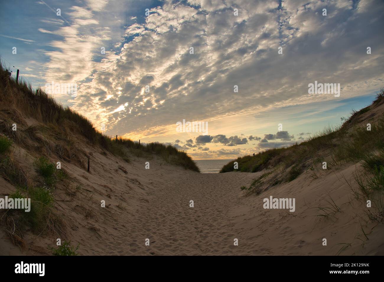 Dunes in the north of Netherland in Egmond aan Zee Stock Photo - Alamy