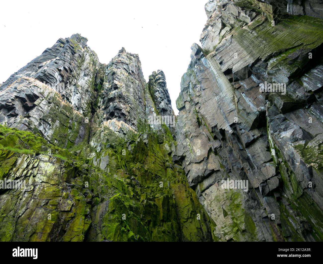 Alkefjellet is the most famous cliff in Spitsbergen archipelago. It is a bird cliff overlooking