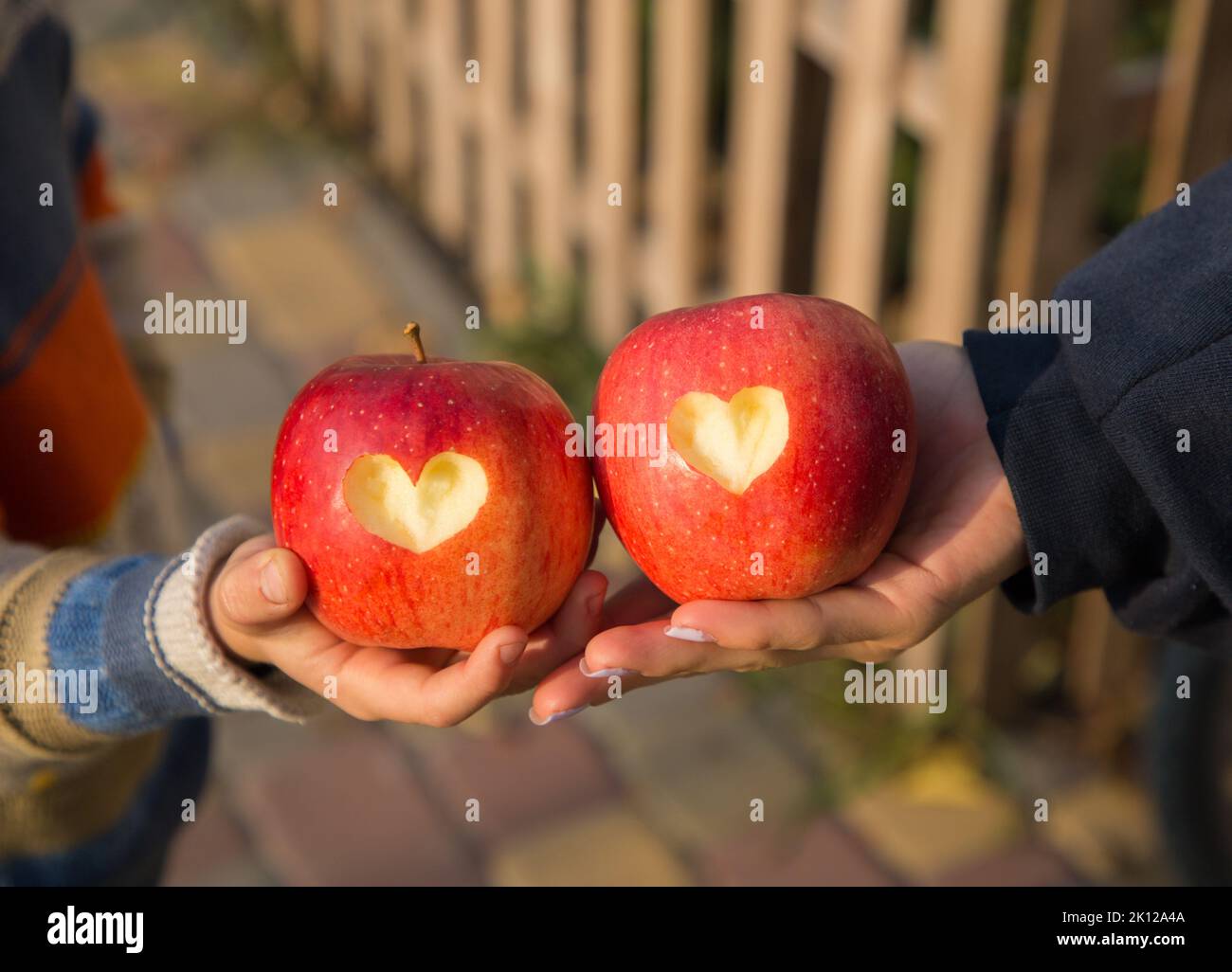 woman's hand and child's hand hold two large red apples with hearts carved into them. The concept of friendly relations in the family, mother's day, h Stock Photo