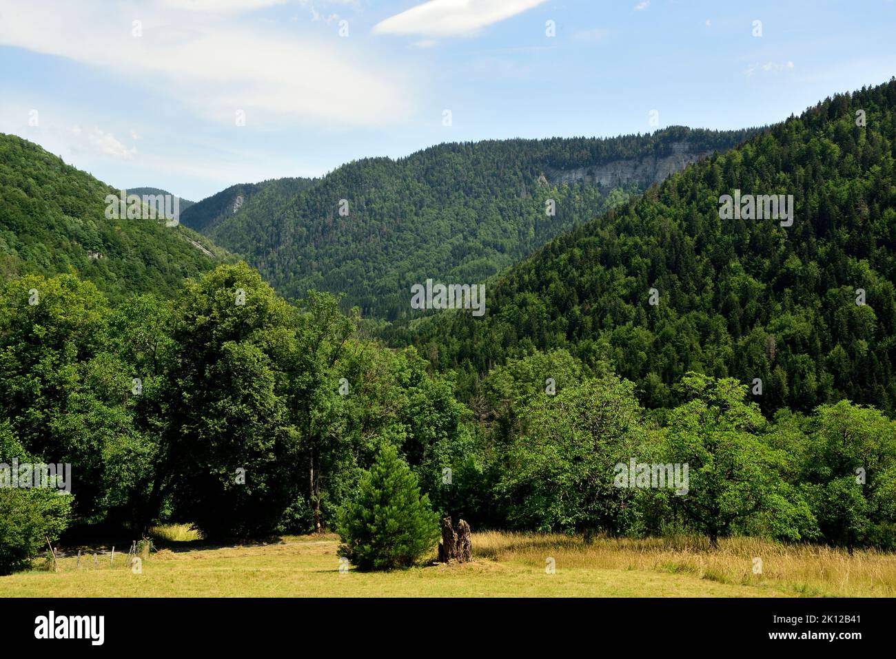 Jura mountains, rock face, la Roche fauconnière, near Belleydoux, Jura, Ain department, France Stock Photo