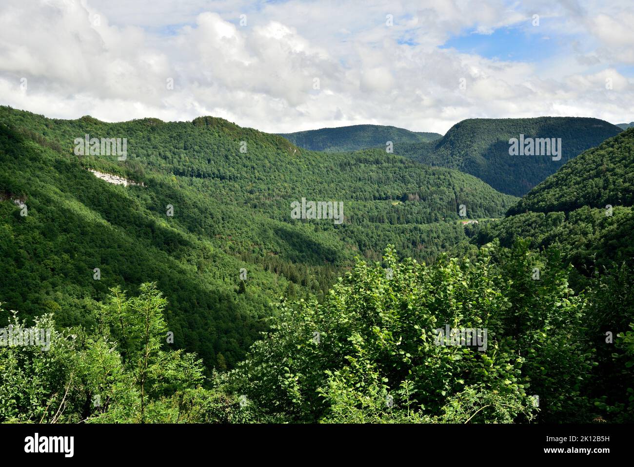 Jura mountains, forests, at St. Hubert, St. Claude, Jura department, Bourgogne-Franche-Comté region, Jura, France Stock Photo