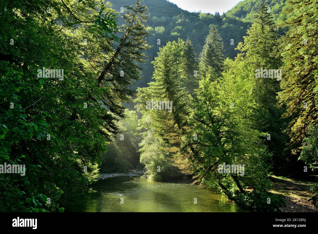 Bienne, river, Gorges de la Bienne, Gorges, La Rixhouse, Nanchez, Jura department, Bourgogne-Franche-Comté region, Jura, France Stock Photo