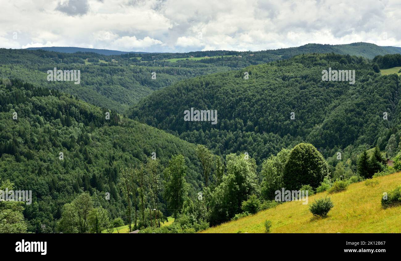 Gorges de la Bienne, gorge, from Tancua, Morbier, clouds, Jura department, Bourgogne-Franche-Comté region, Jura, France Stock Photo